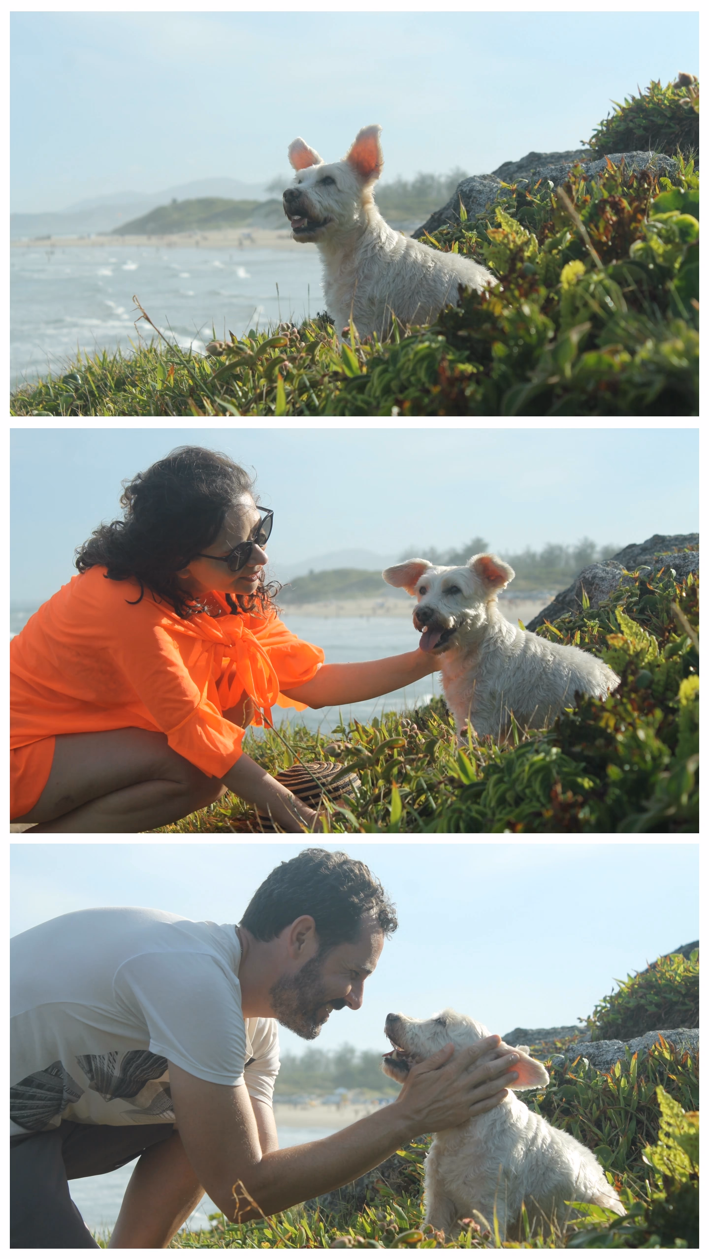 Outra colagem com três fotos. Na que está na parte superior da imagem podemos ver apenas o Vígi no alto de uma colina com o mar ao fundo. Na segunda, vemos a Ju agachada em frete a ele e fazendo carinho no pescoço do cachorro. Na última, estou eu agachado em frente a ele e olhando em seus olhos. A montagem mais bonita desta postagem